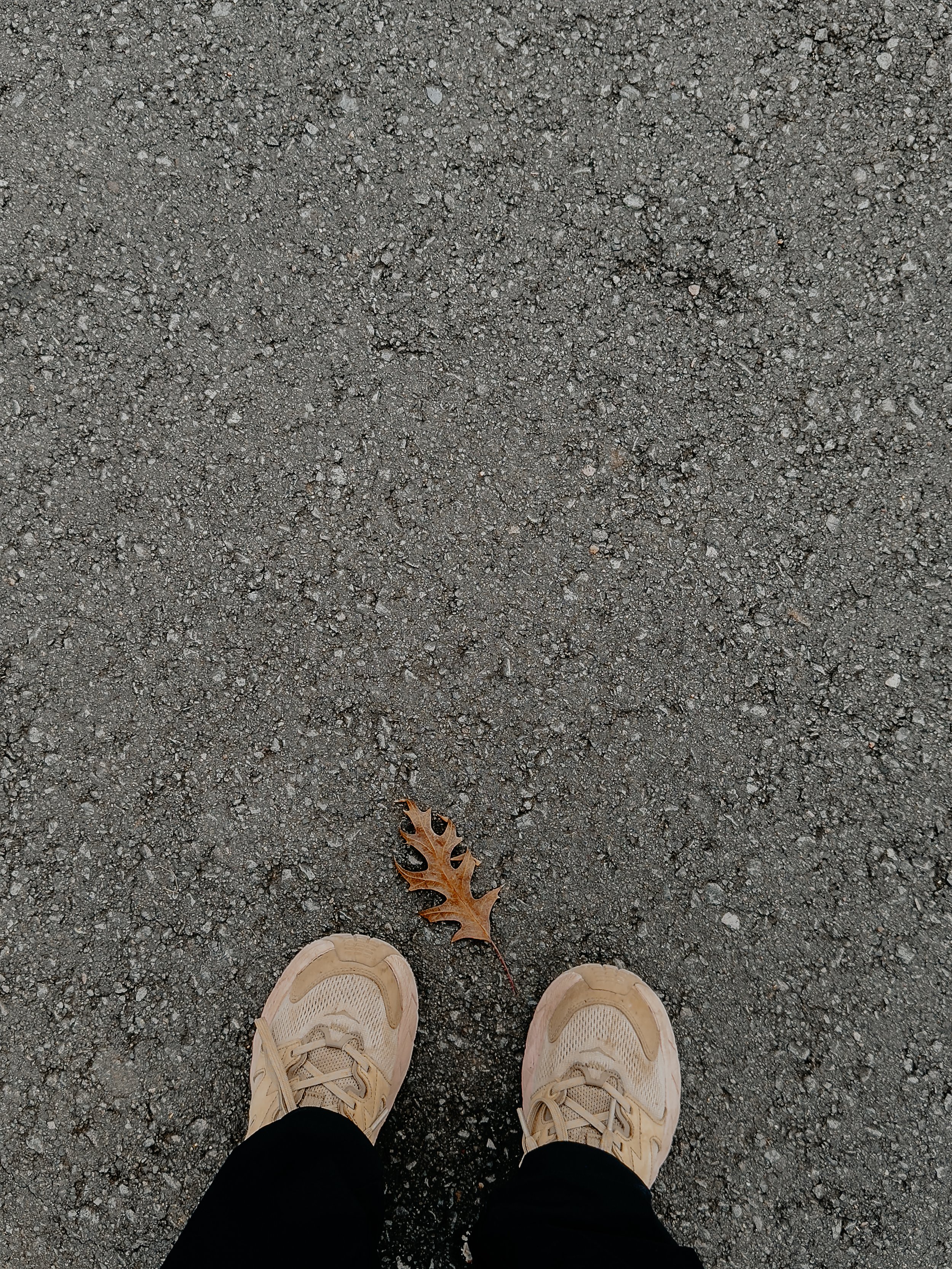 _001-67.jpg