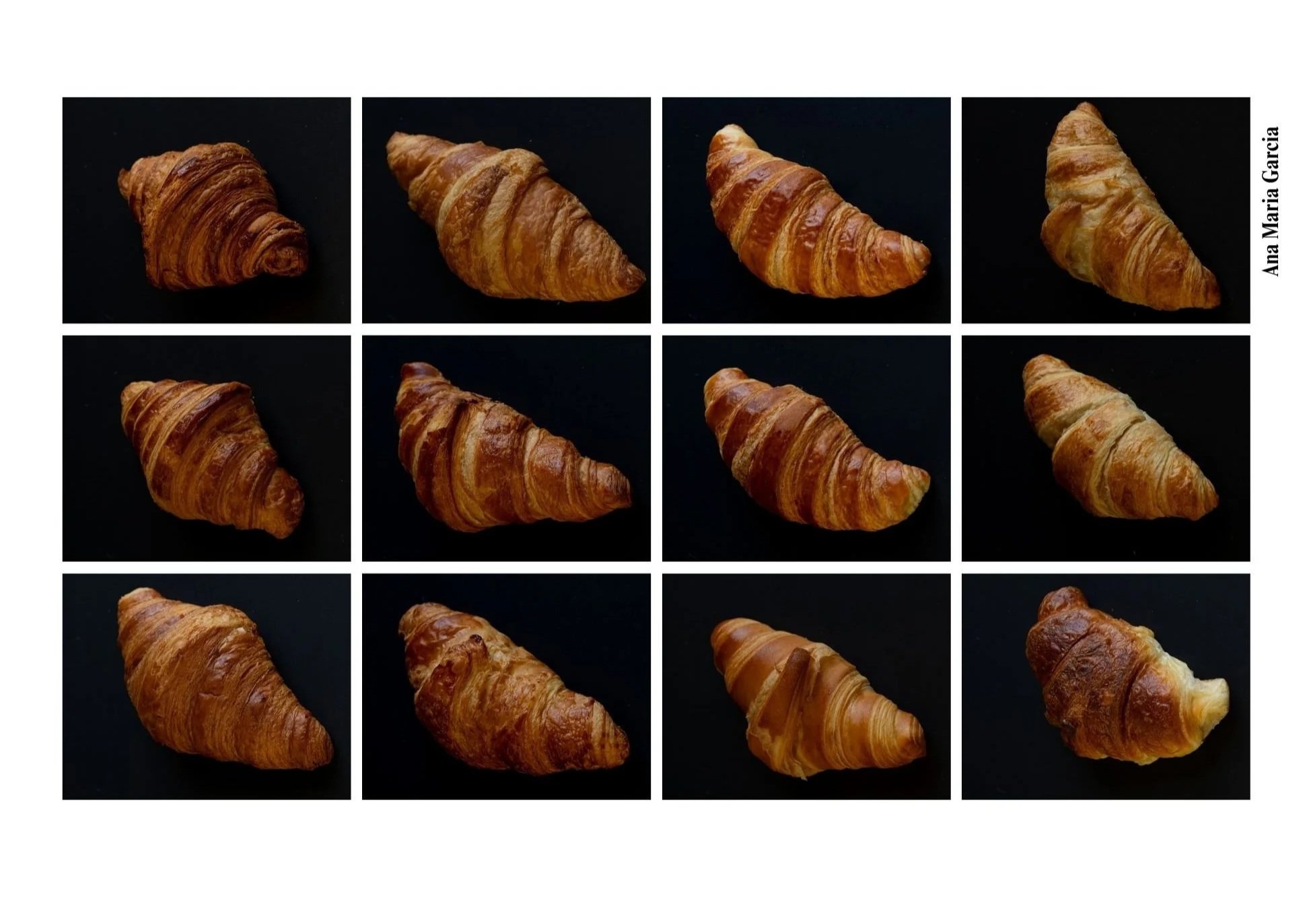 Typology