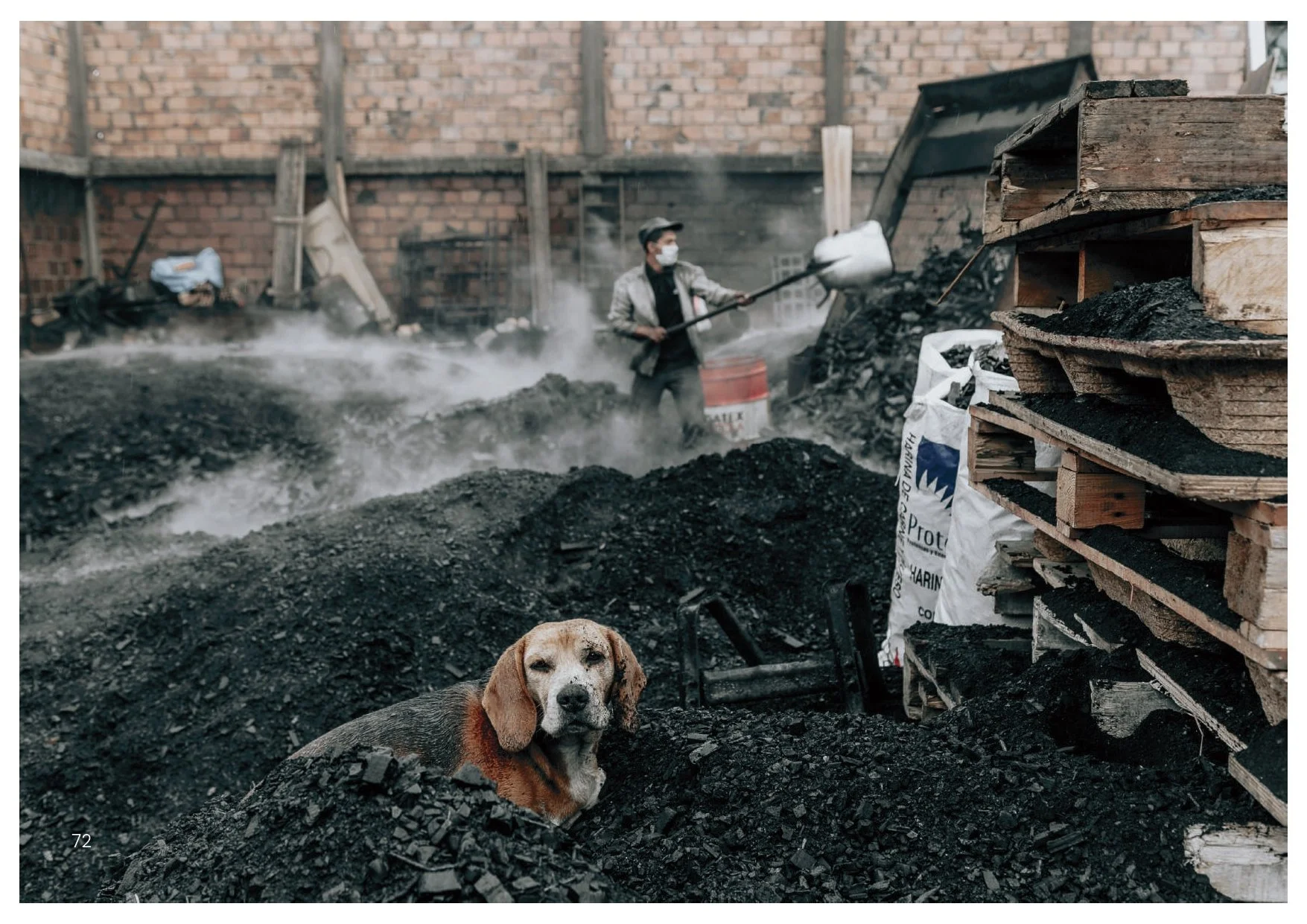 Perros y Gatos_final_compressed-2 2_page-0007.jpg