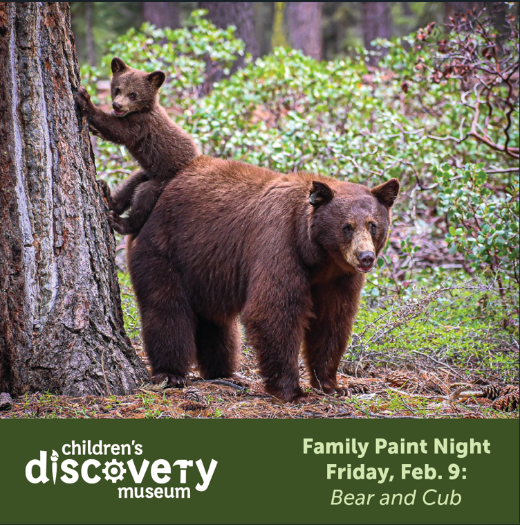 cdm bear cub social.png