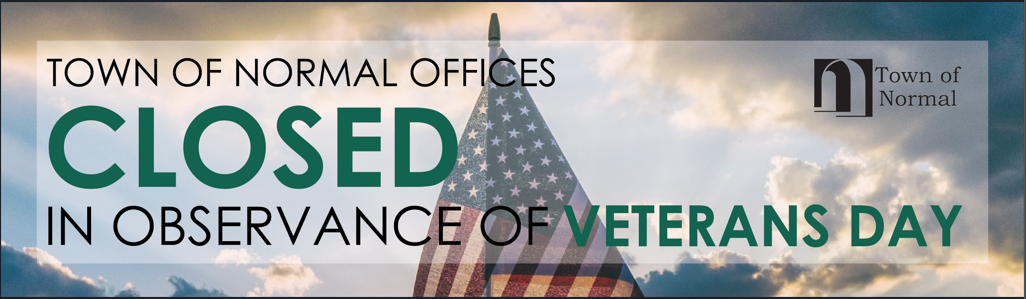 veterans day web banner.png