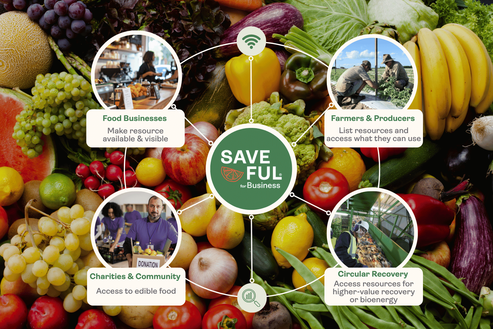 Saveful for Business Ecosystem hero image