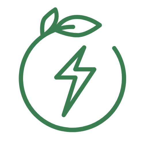 Saveful for Business bioenergy icon
