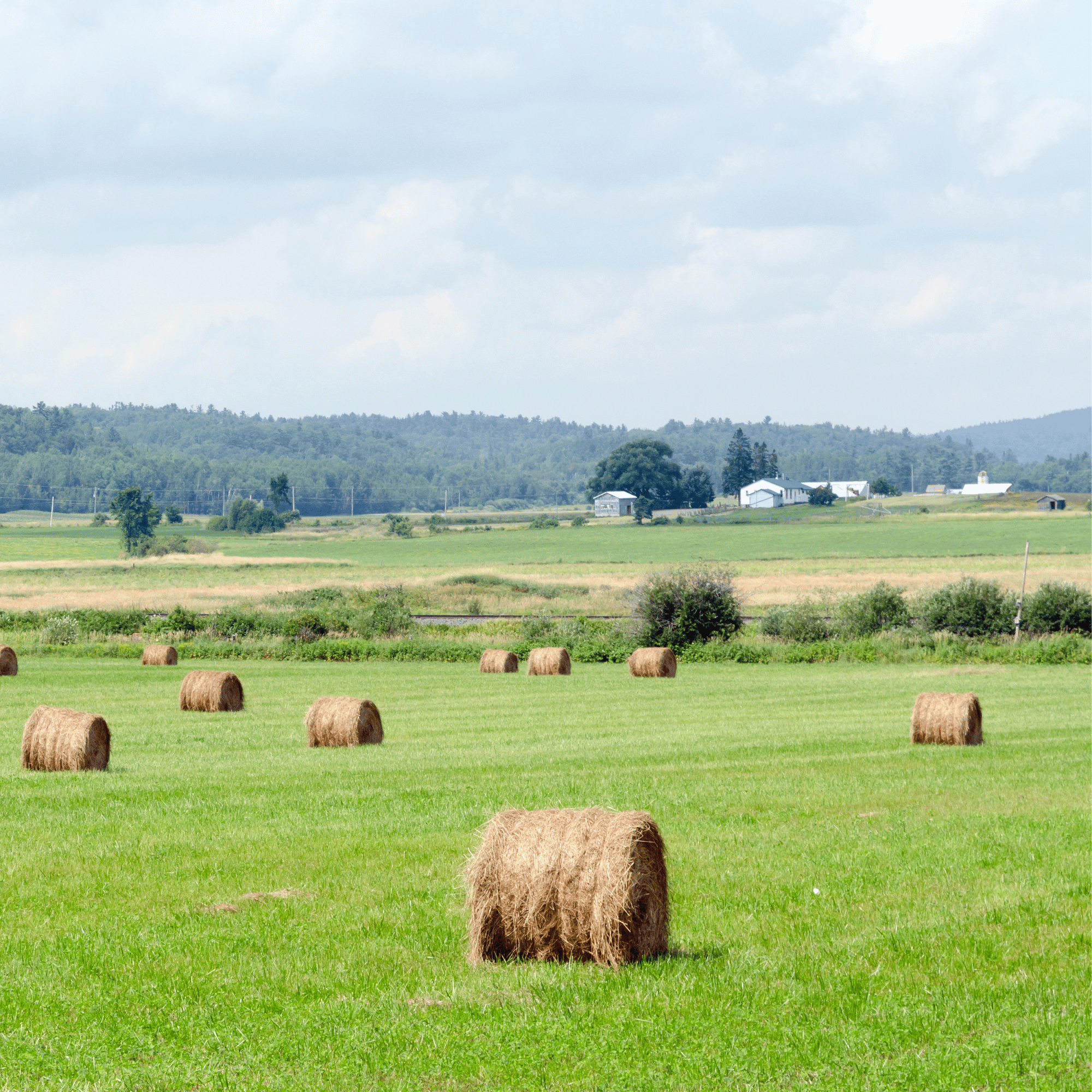 Saveful for Business farm image