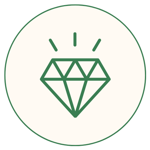 Saveful resources icon