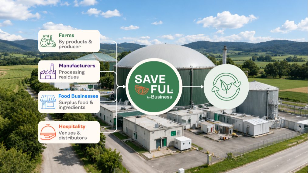 Saveful for Business circular recovery image
