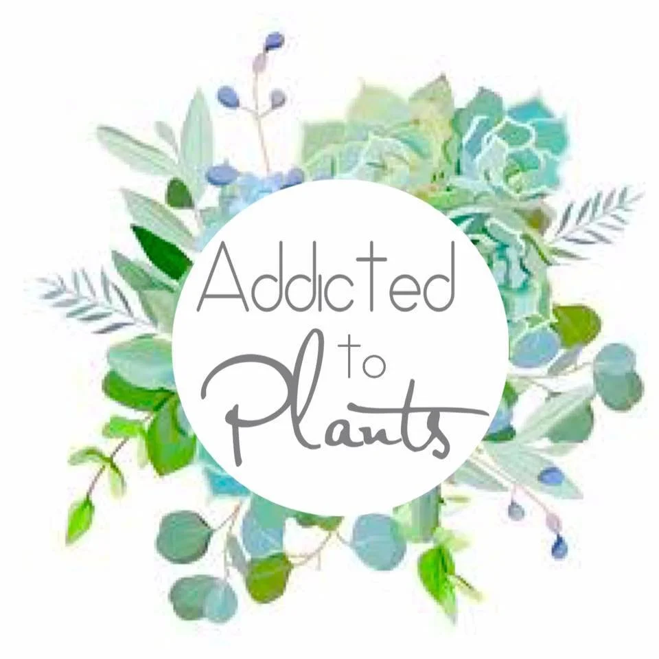 addicted to plansts.jpg