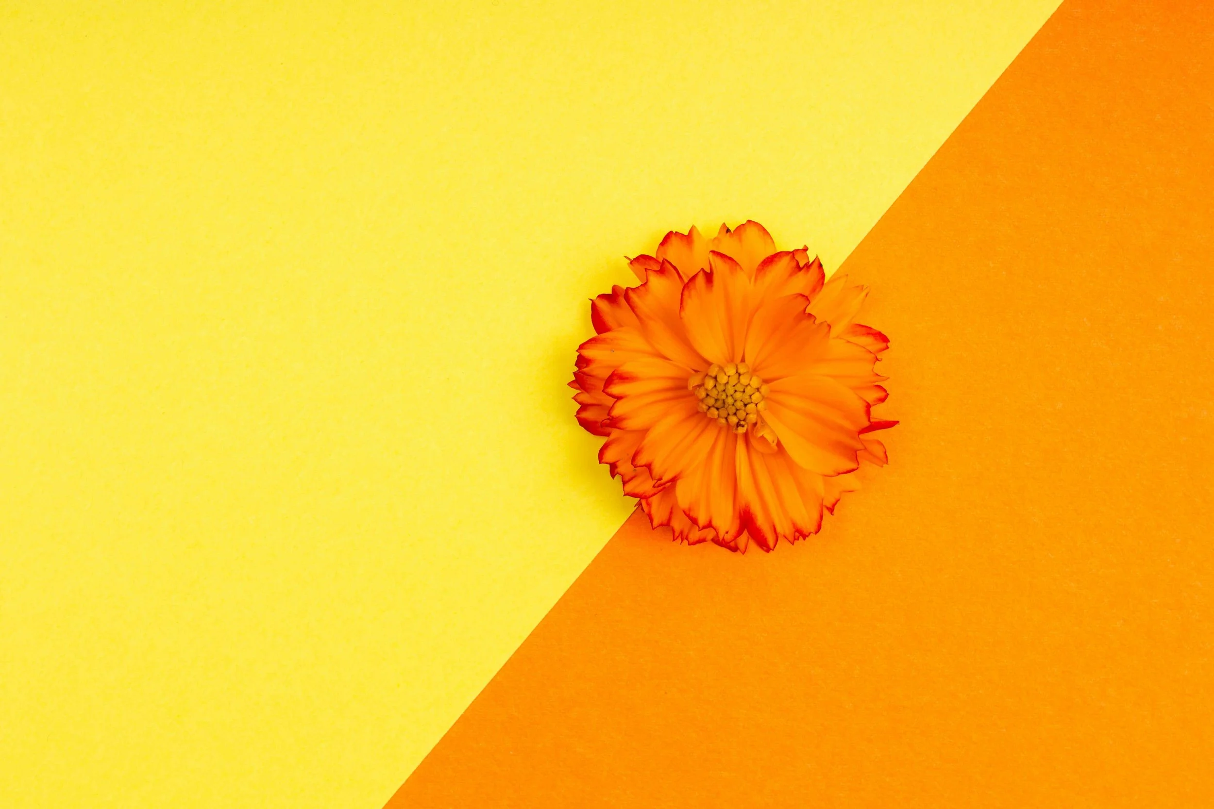ADHD and Myers-Briggs: What Every MBTI Type Looks Like with ADHD