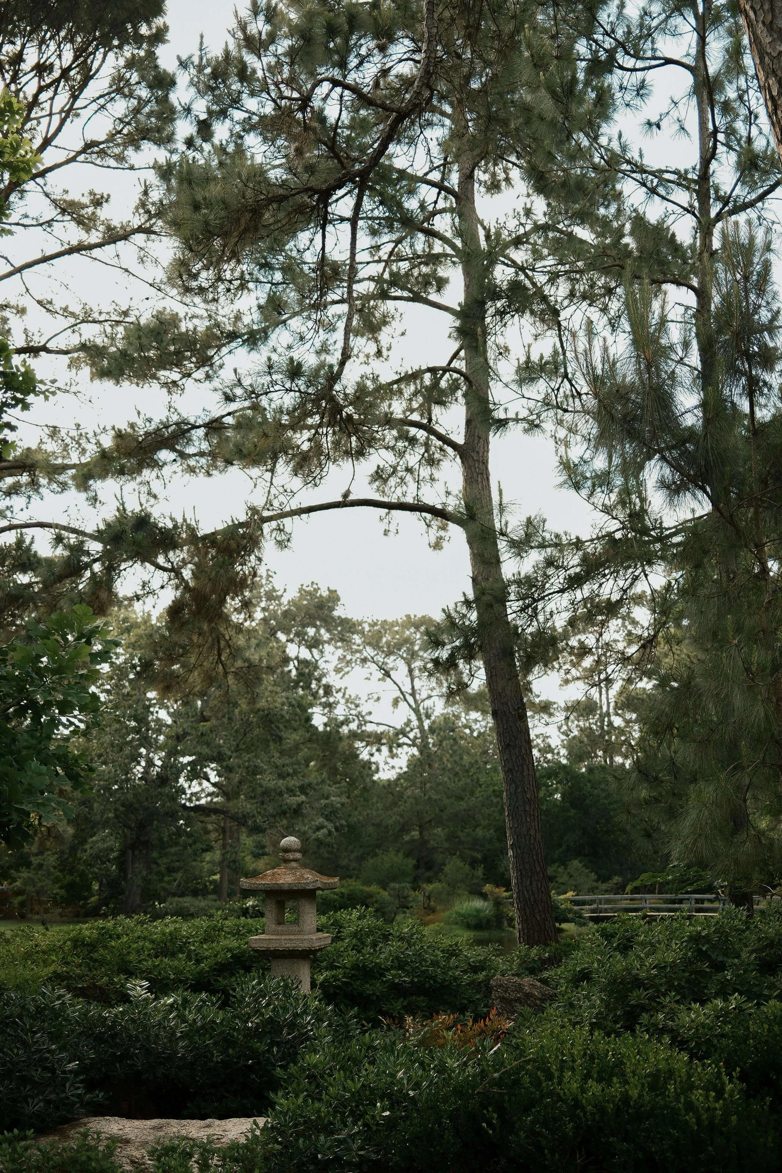 5 Walks in Houston to Reconnect With Yourself