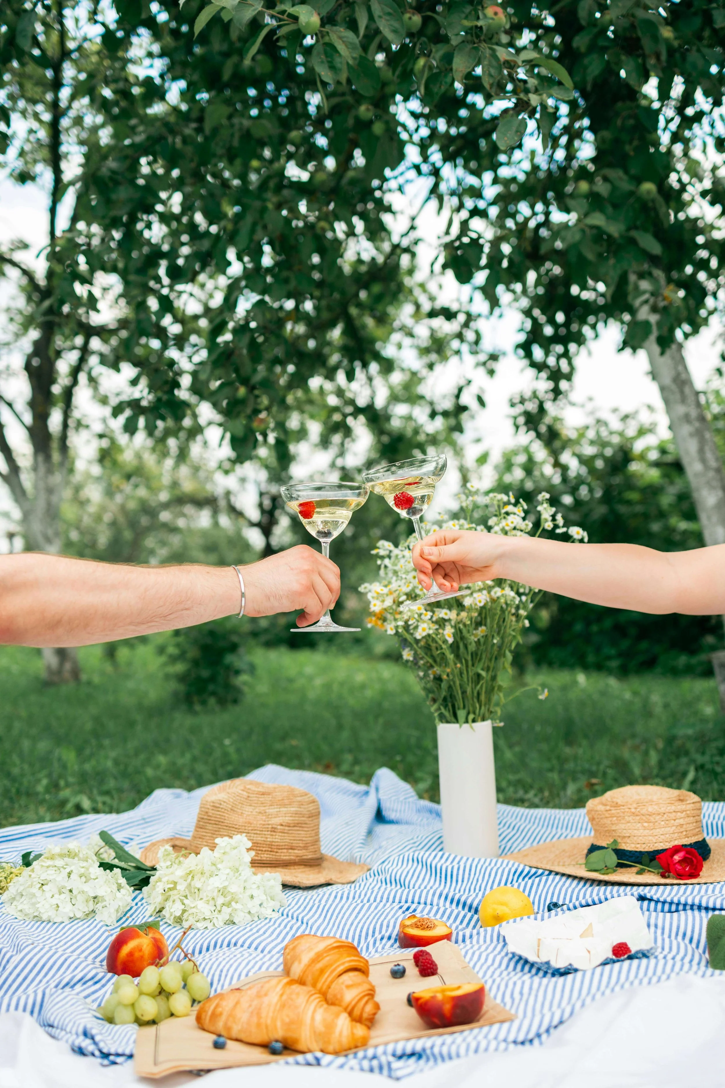 5 Picnic Spots in Houston for a Perfect Day Outside