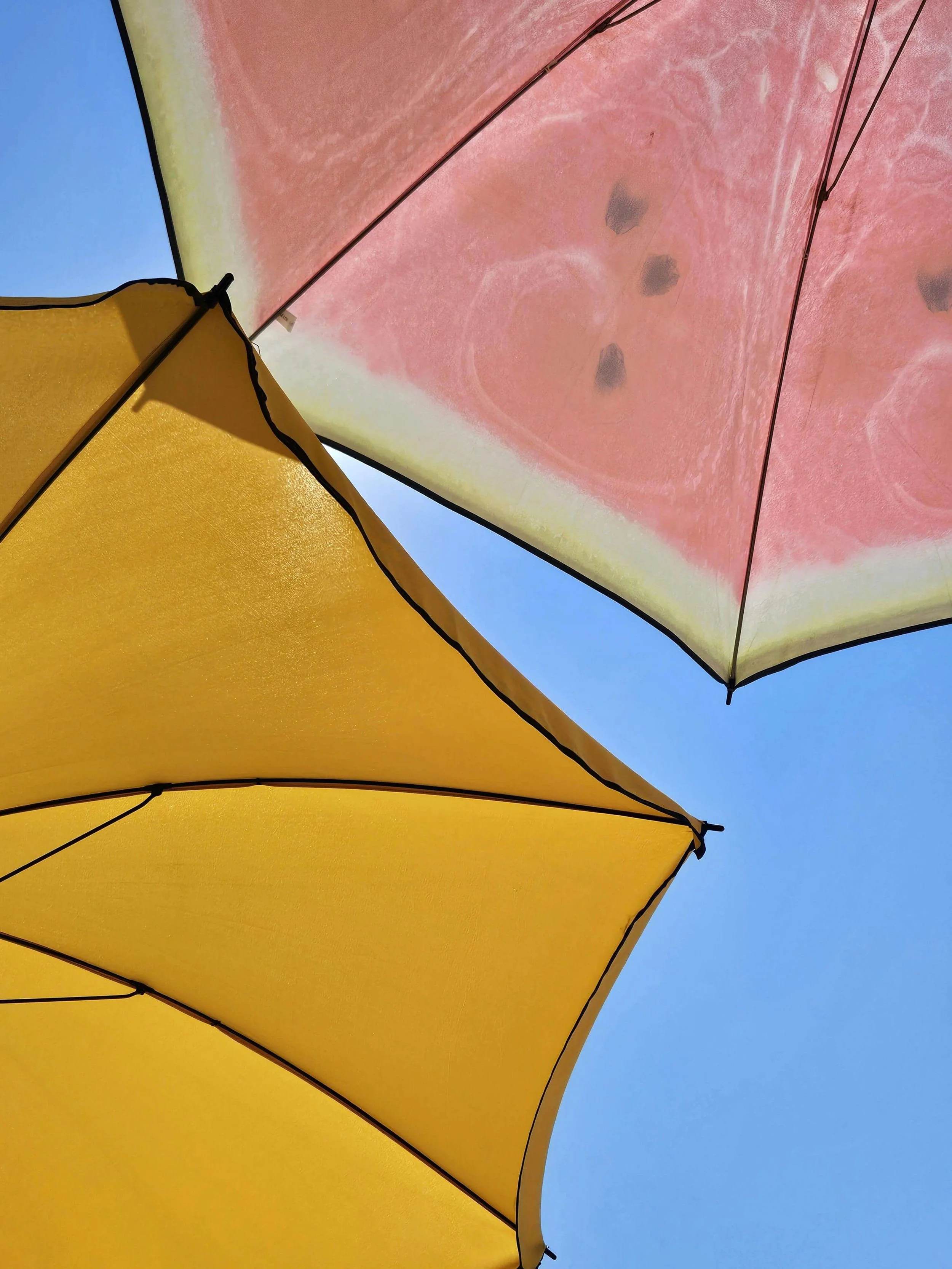 Fun Summer Date Ideas in Houston With Your Partner