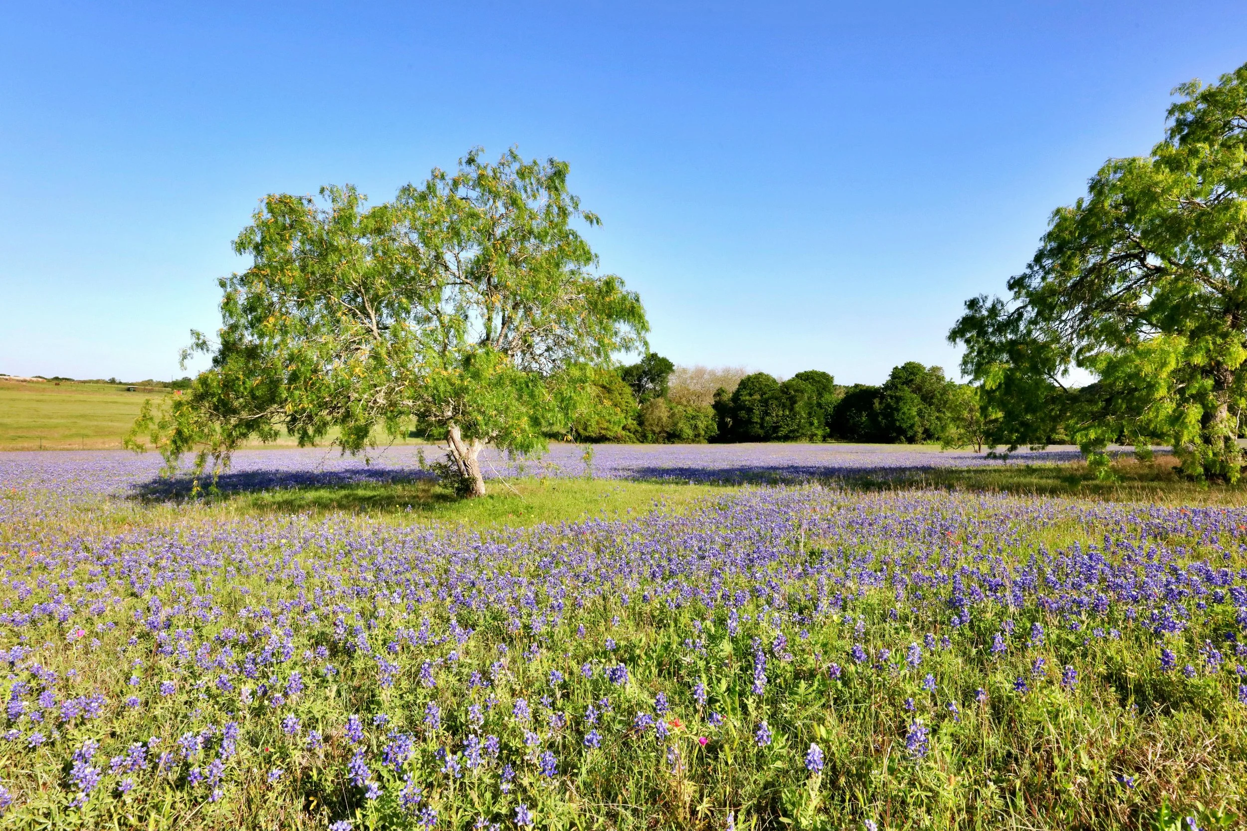 Hill Country Getaways for Texas Couples