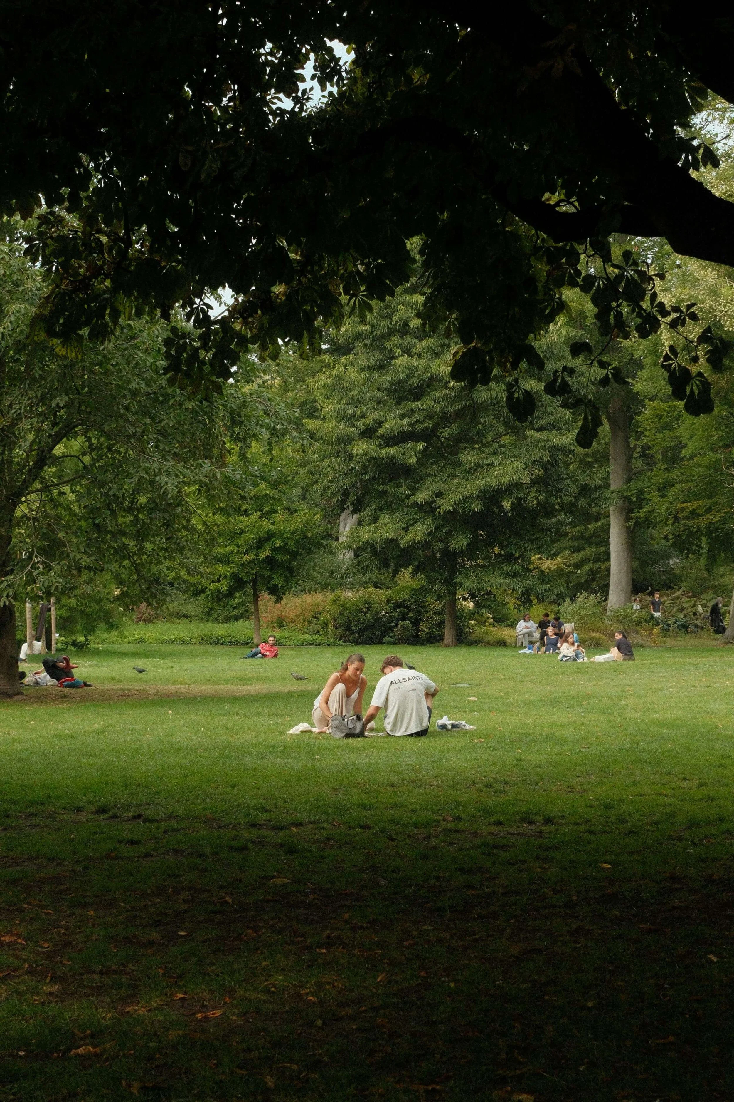The Best Parks for Couples Near Bedford, NH