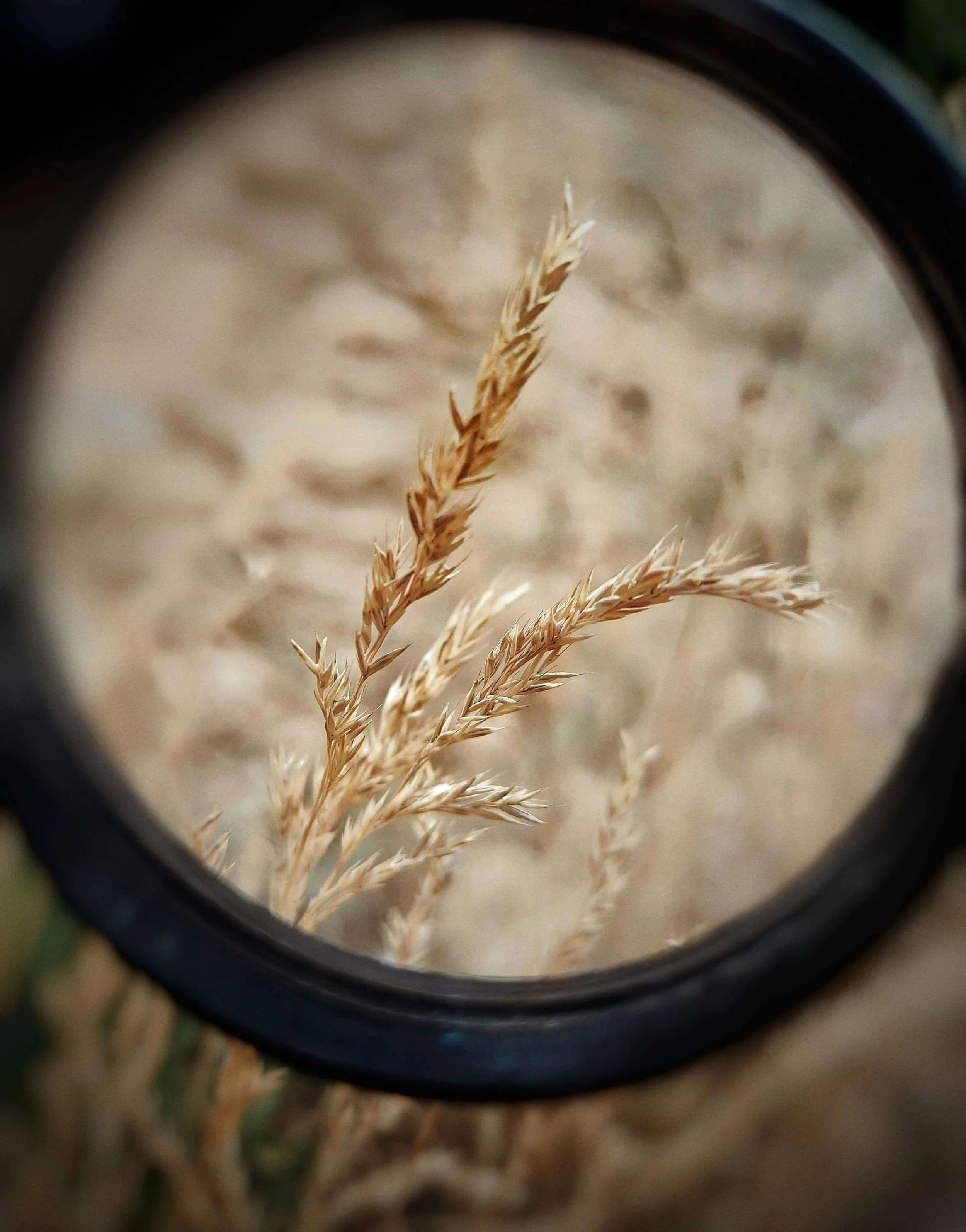 What Is Monotropism?