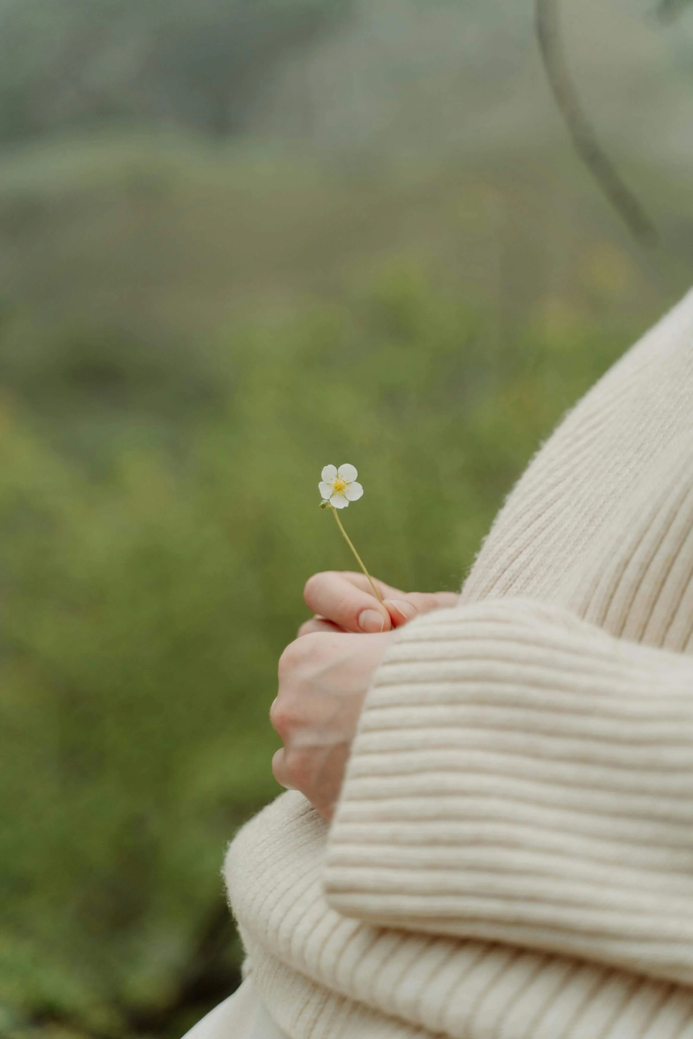 Hands holding small plant representing healing from BFRBs