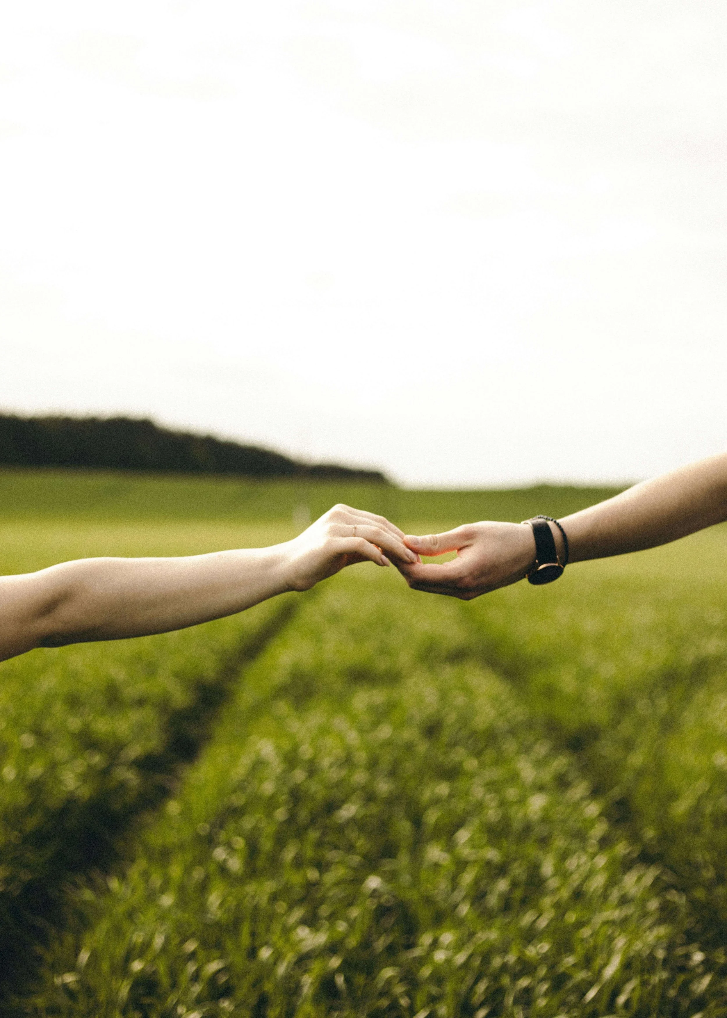 Rekindling Connection