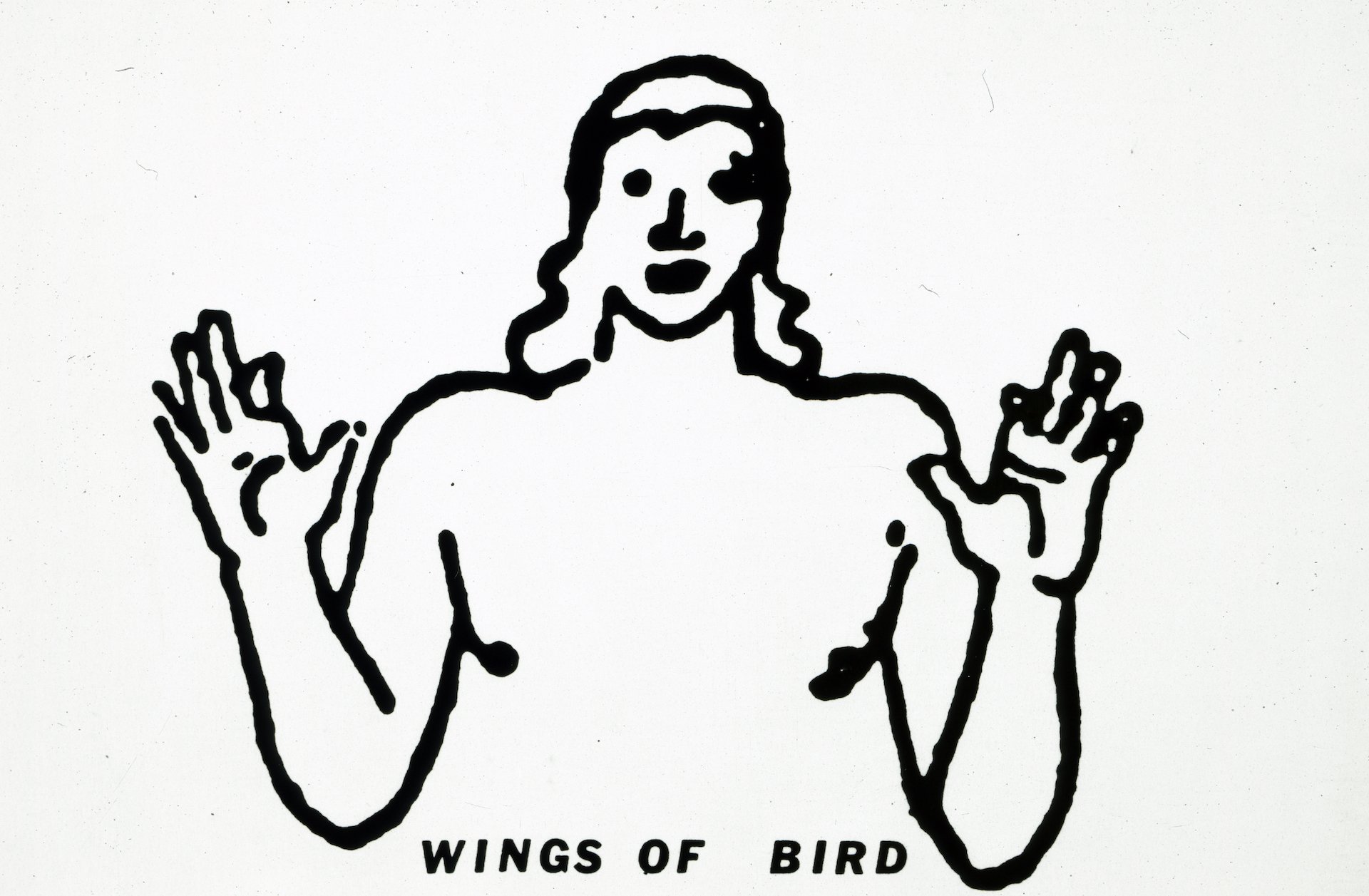 Wings of a Bird SR_SLIDE859 copy.jpg