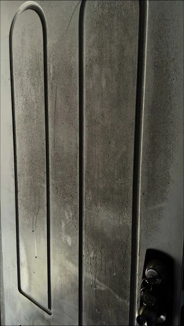 From Black to Brilliant ✨🖤➡️🤍
This door was covered in mold—but not for long. Our full restoration treatment doesn’t just clean the surface; it kills mold spores at the root and restores the original finish.
Safe • Effective •