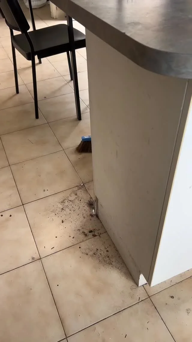 We have something special for your Monday: Extreme Clean Alert 🚨
This kitchen wasn’t just dirty: think thick grease, maggots, cockroaches, and piles of rubbish…
But we handled the full transformation:
🧼 Deep clean + sanitisation
?