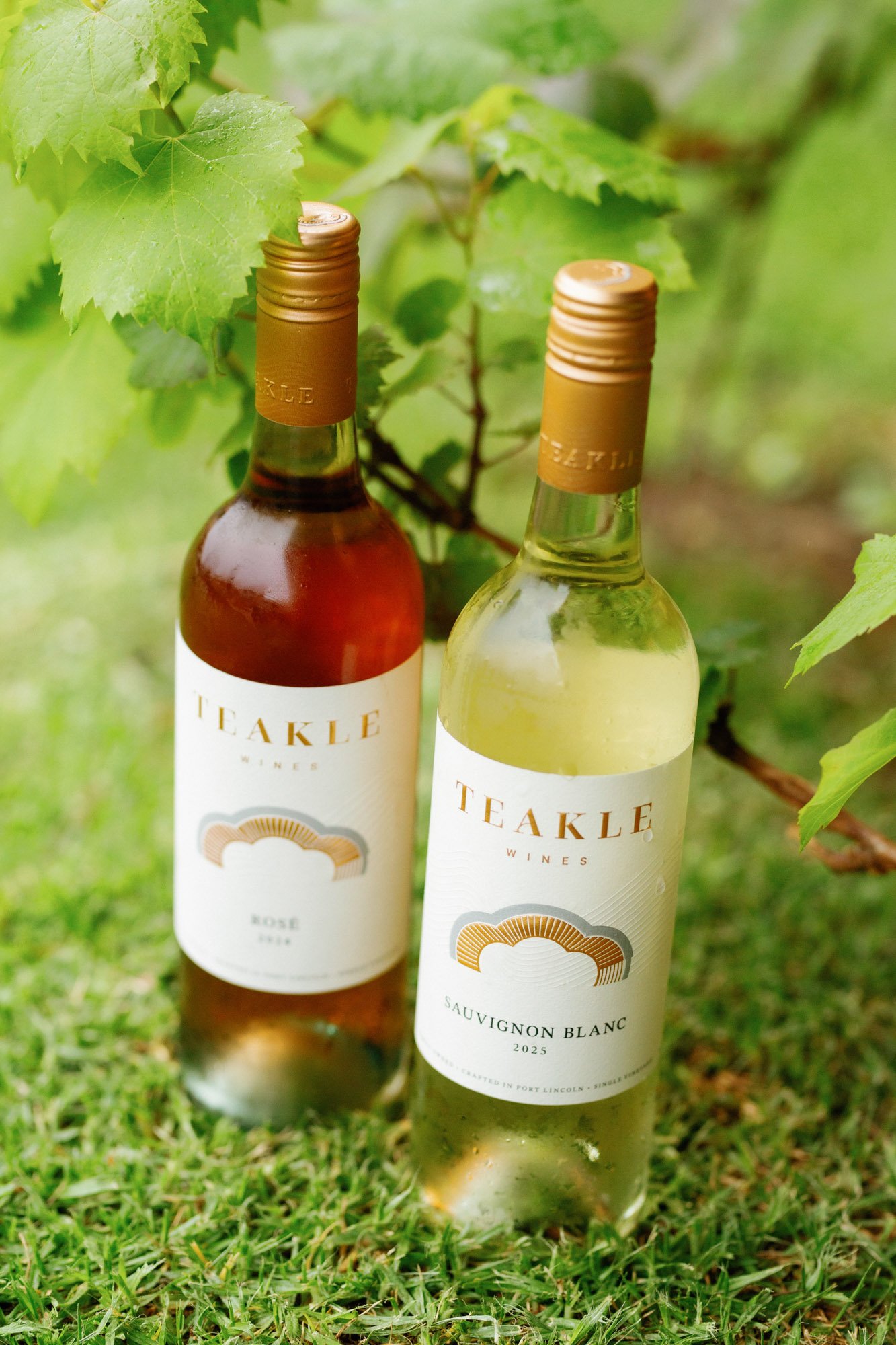 Fab Wine Teakle_010.jpg