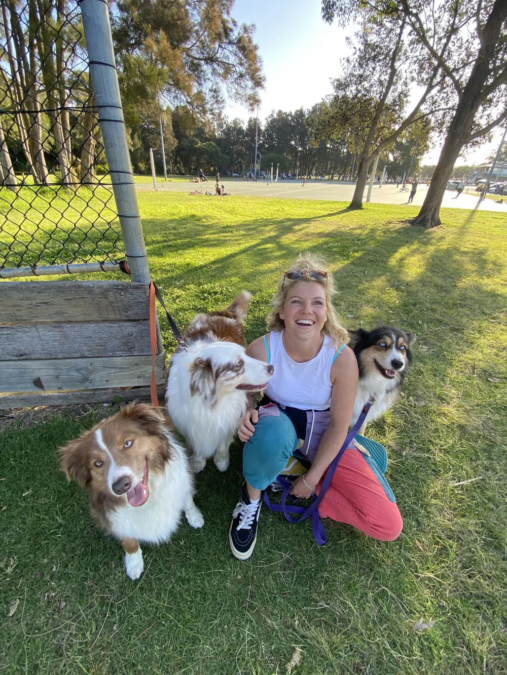 Going Mutts Dog Training & Behaviour