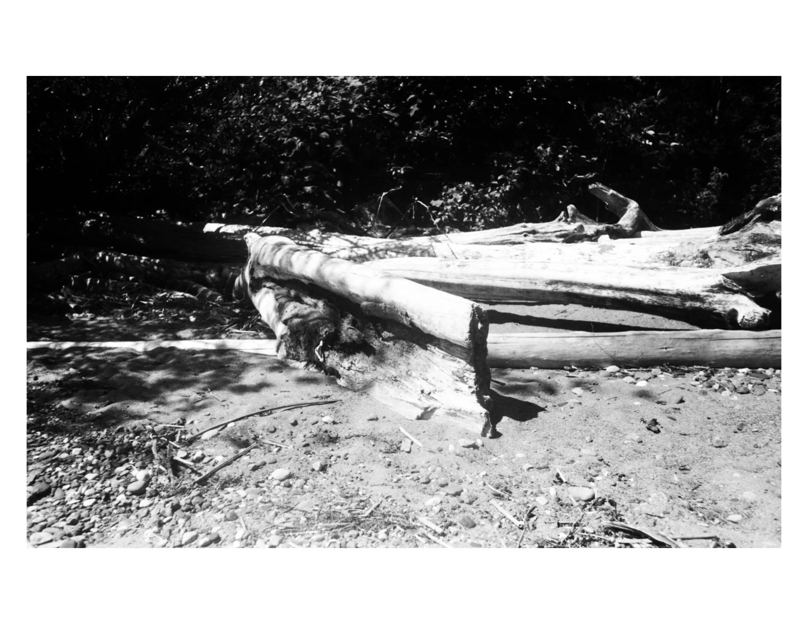 Untitled.1 copy 8.jpeg