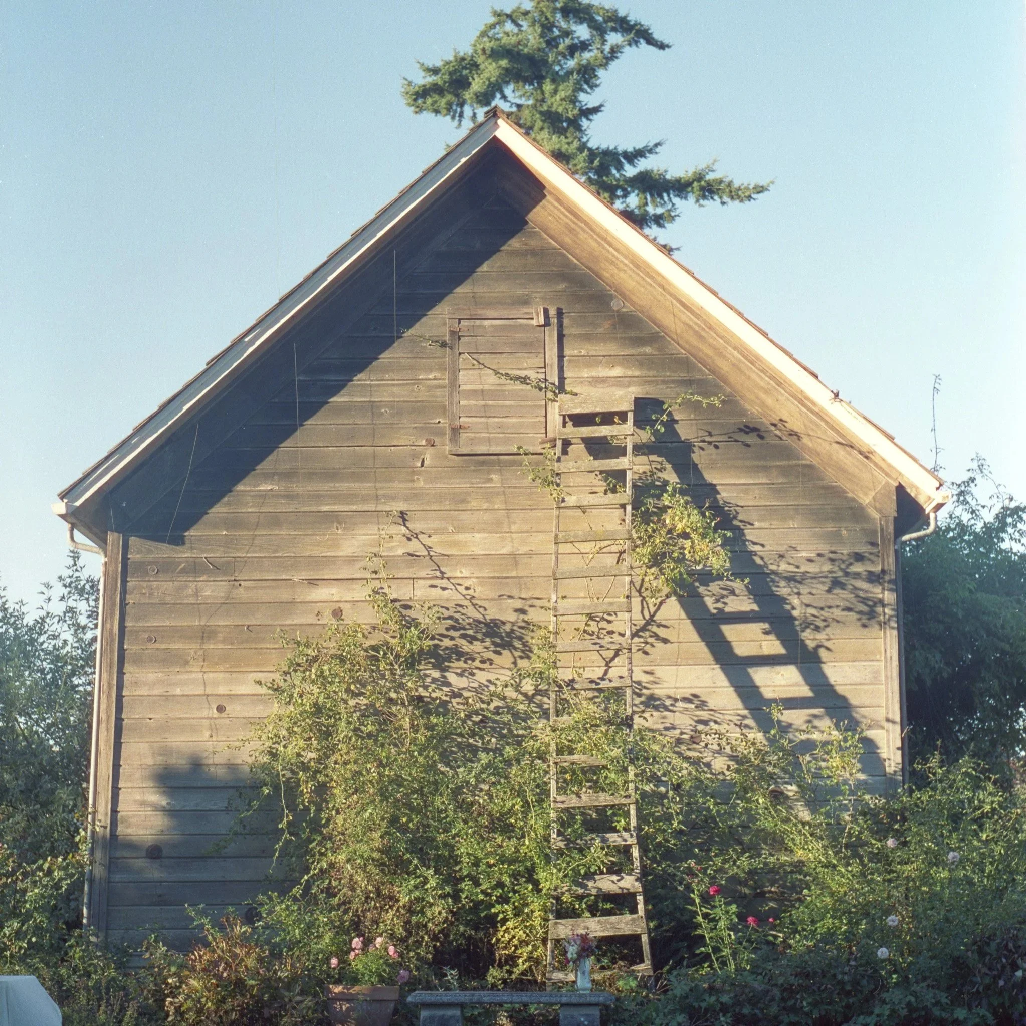 Skagit Valley Wedding