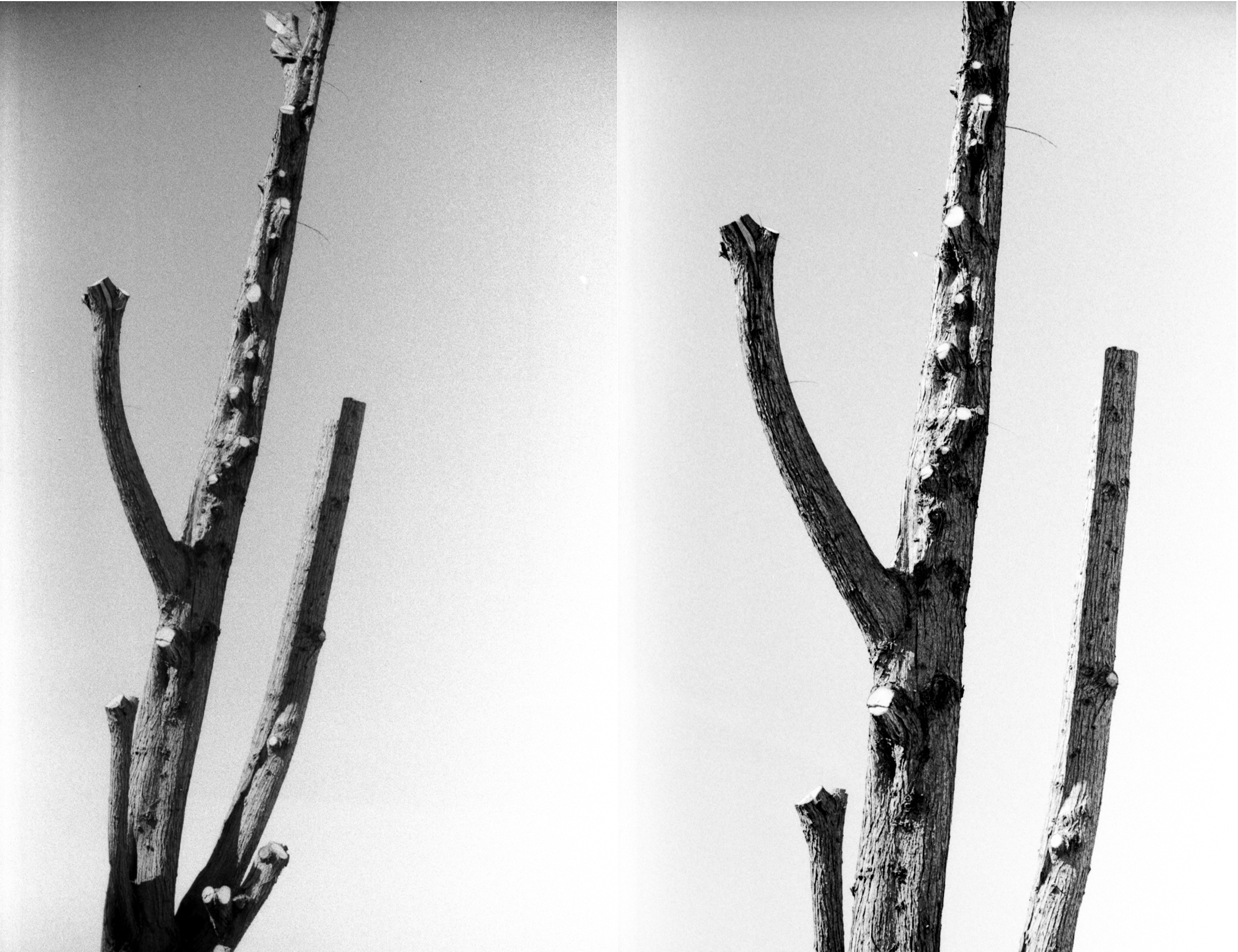 Capture d’écran 2021-12-05 à 12.19.43.png