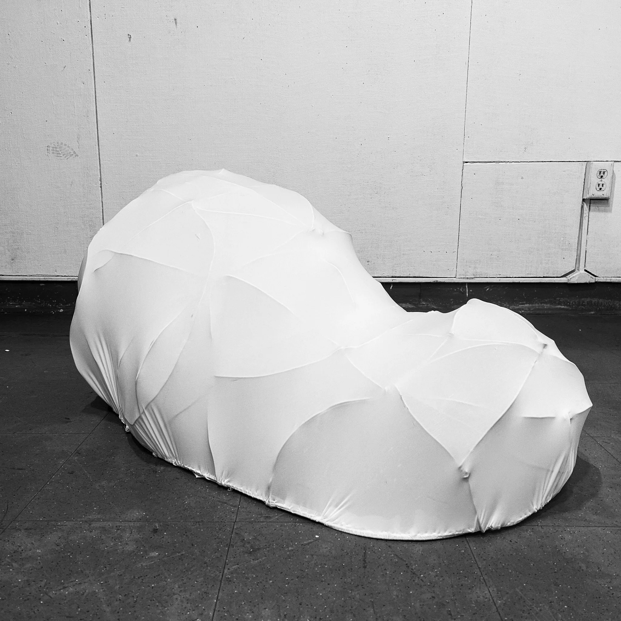 Shelter, in Wire and Linen (detail 1)