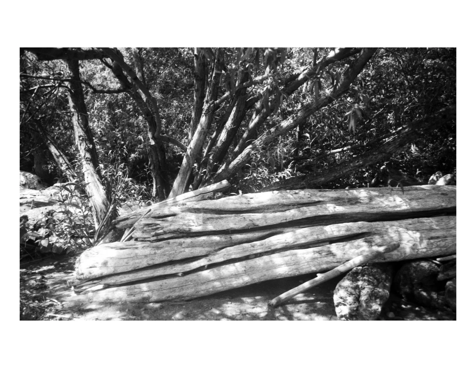 Untitled.1 copy 3.jpeg
