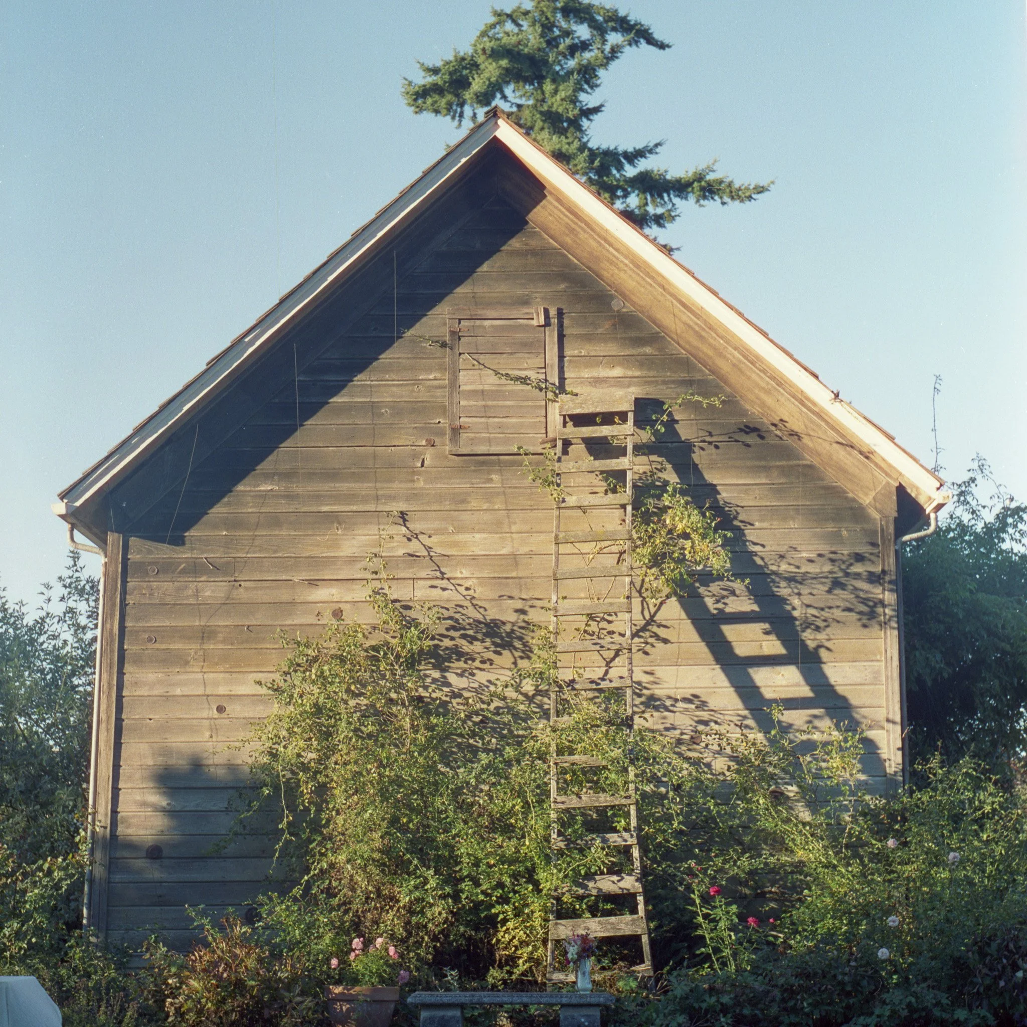 img20260414_10510419.jpg