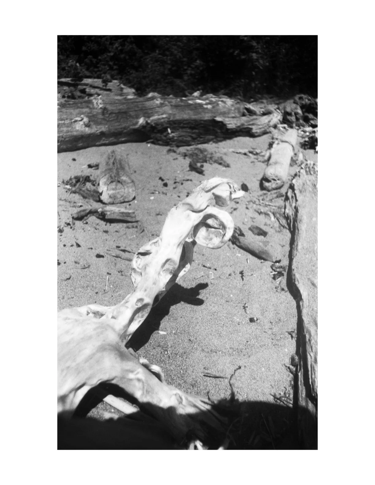 Untitled 2.1 copy 10.jpeg