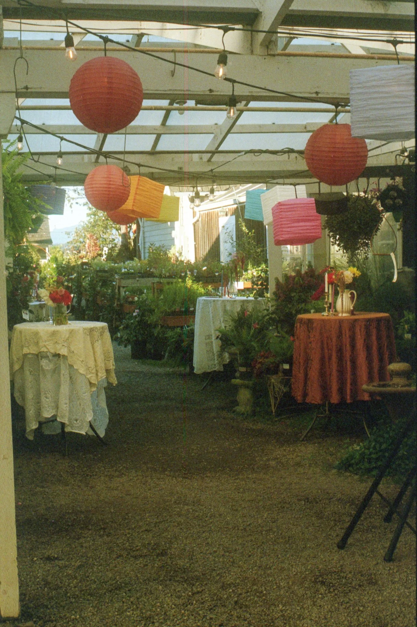 img20260401_16214960.jpg