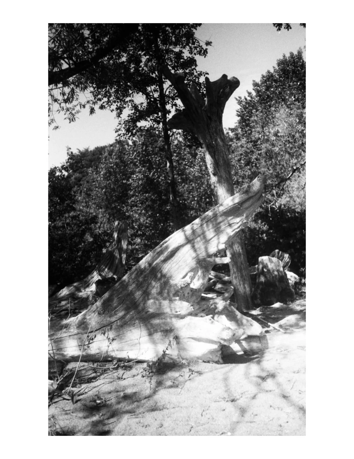 Untitled 2.1 copy 9.jpeg