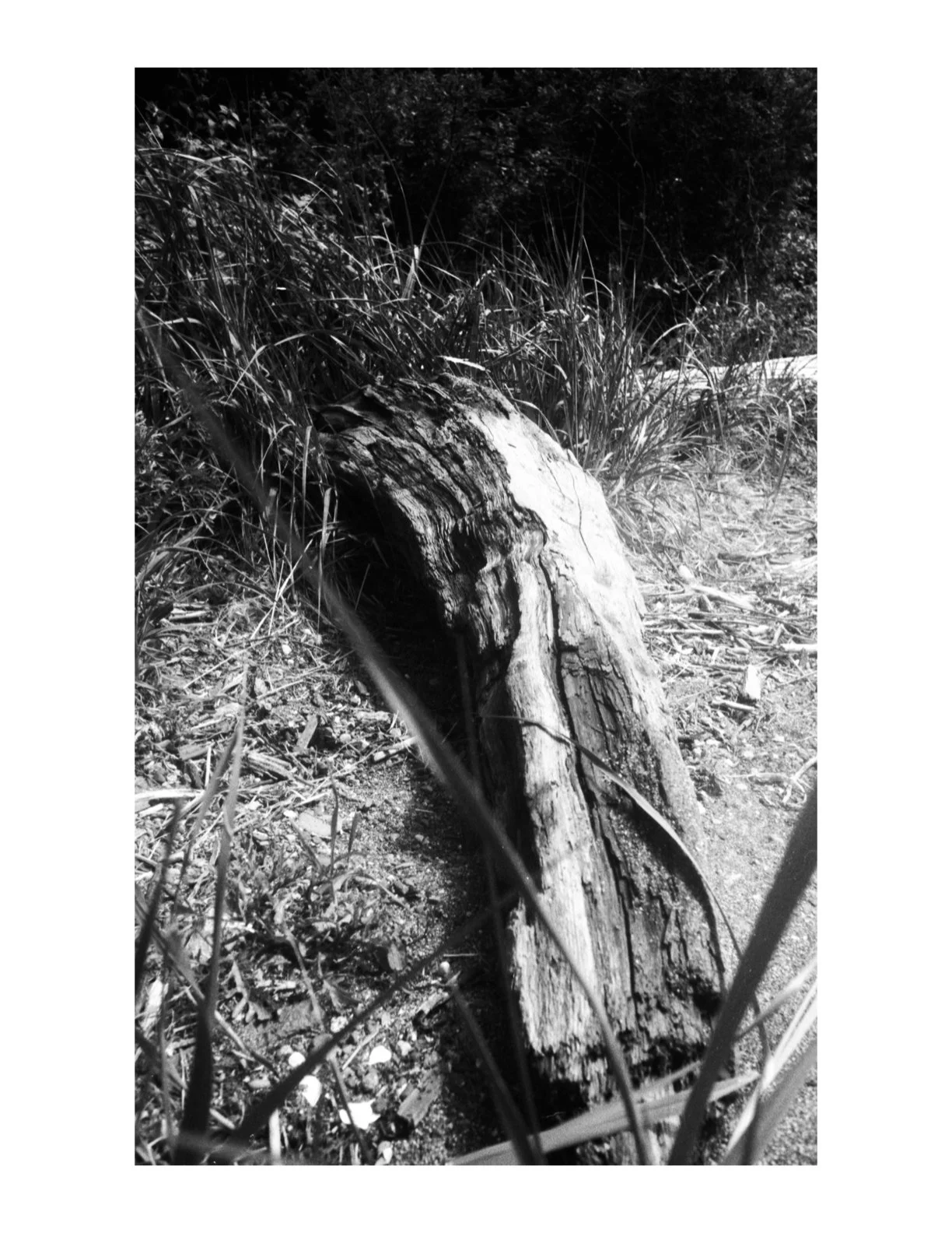 Untitled 2.1 copy 4.jpeg