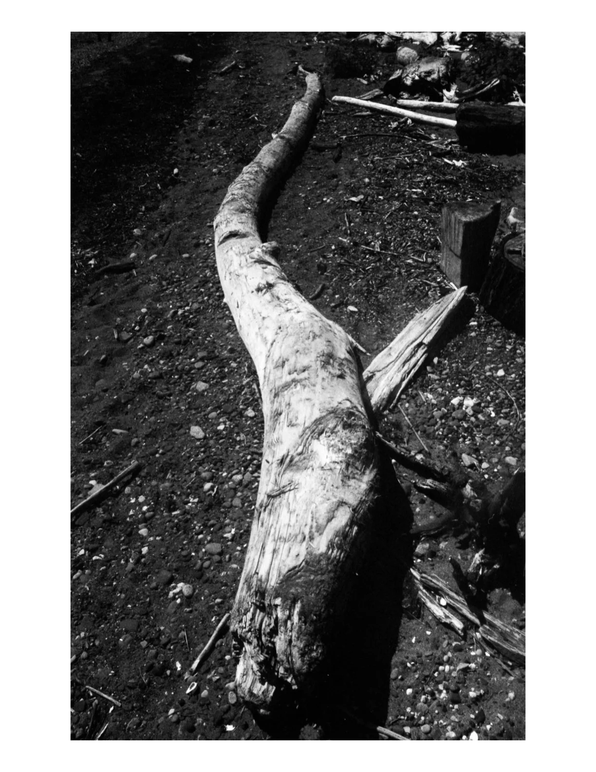 Untitled 2.1 copy 6.jpeg