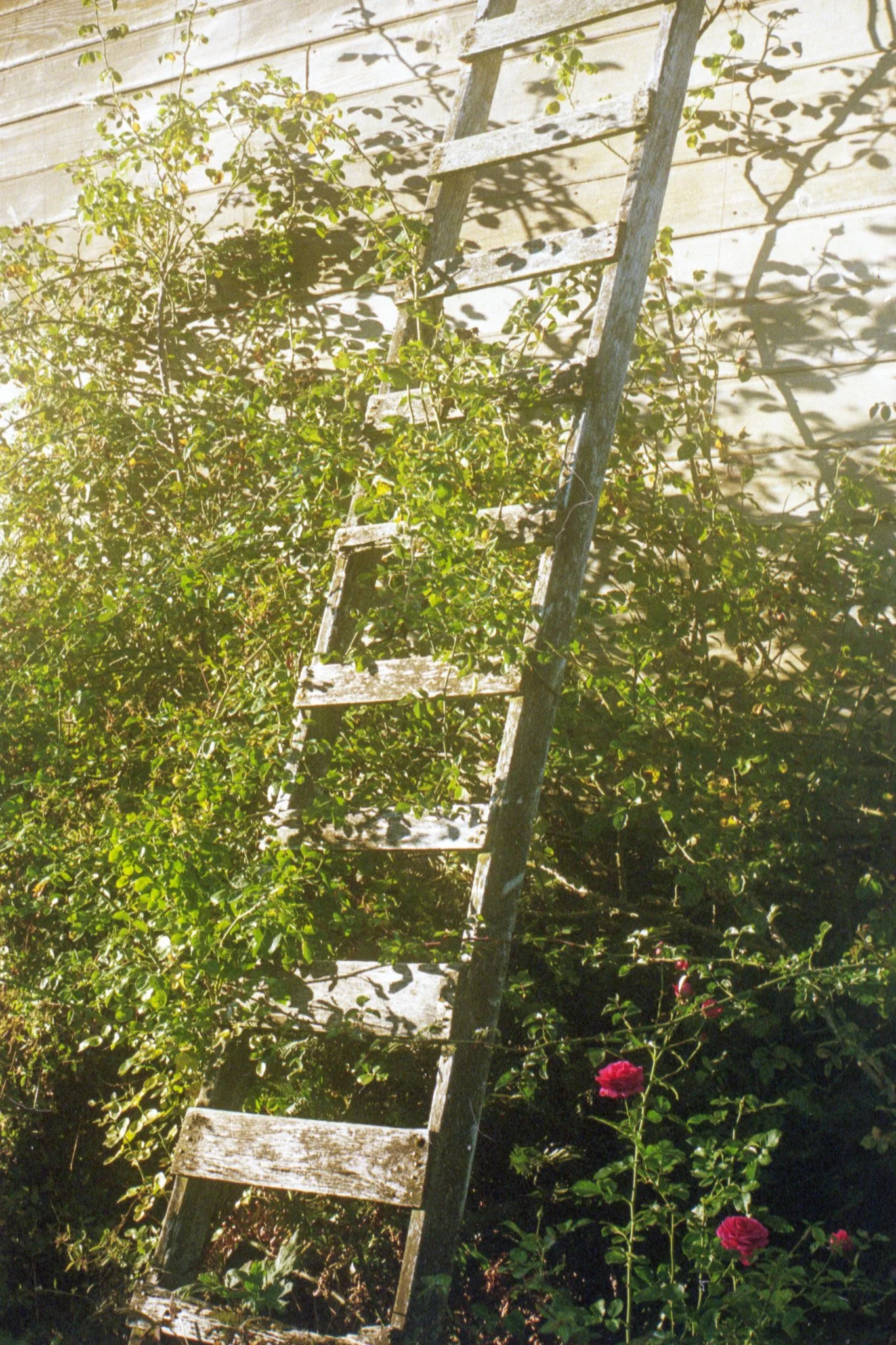 img20260401_16135856.jpg