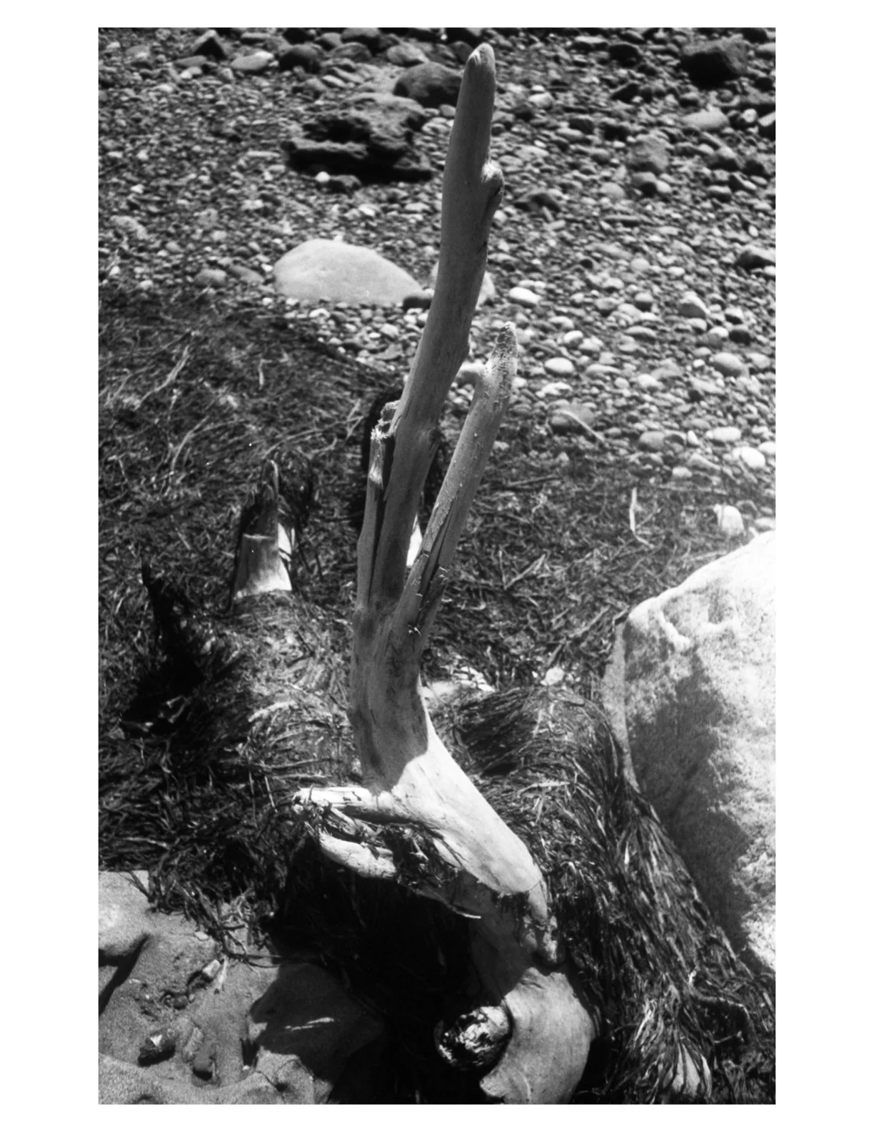 Untitled 2.1 copy 3.jpeg