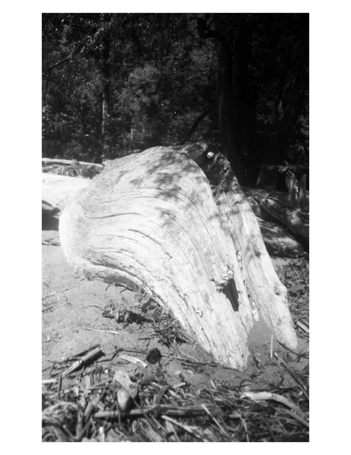 Untitled.1 copy 9.jpeg