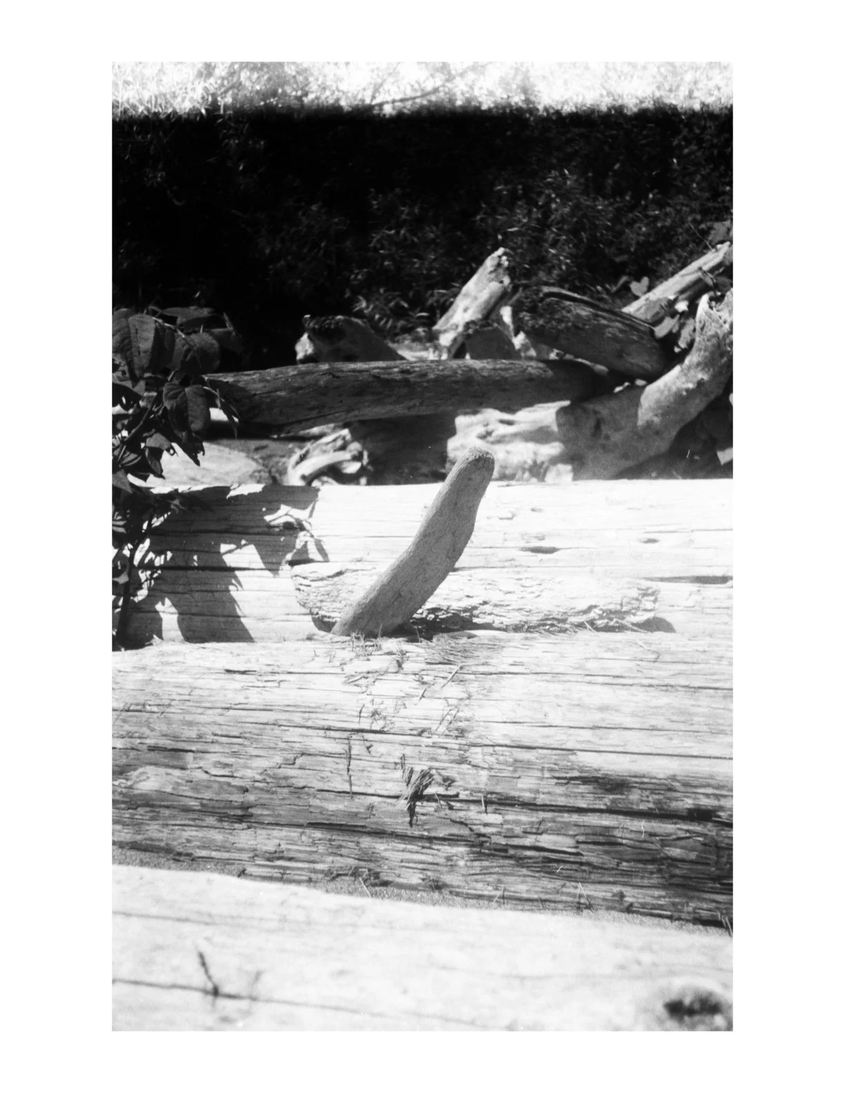 Untitled 2.1 copy 11.jpeg