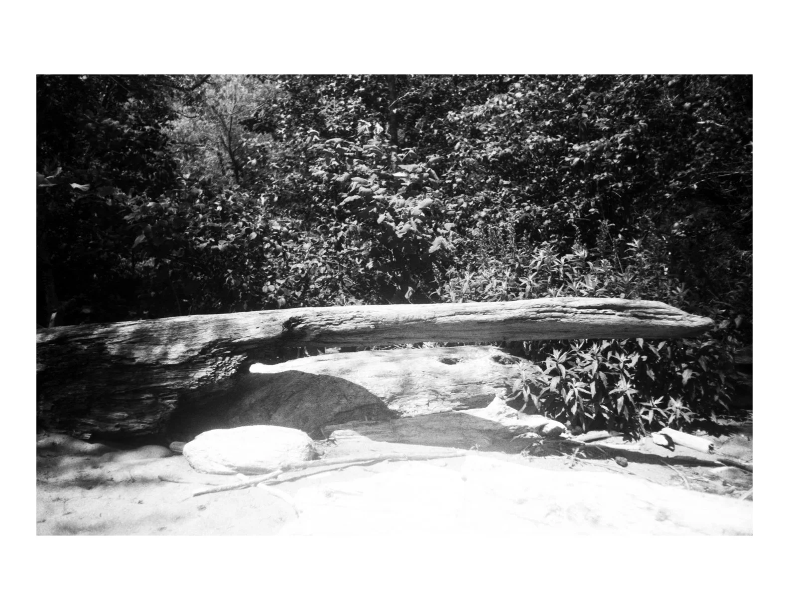 Untitled.1 copy 5.jpeg
