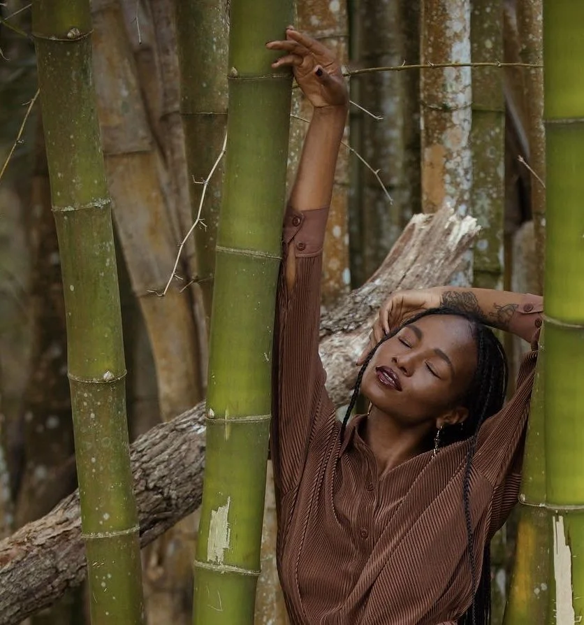 
Photographer: David Michael