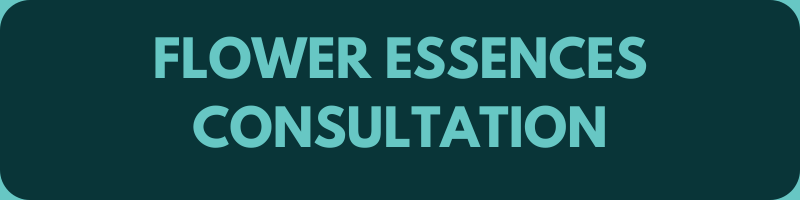 Text Flower essences consultation written on dark background