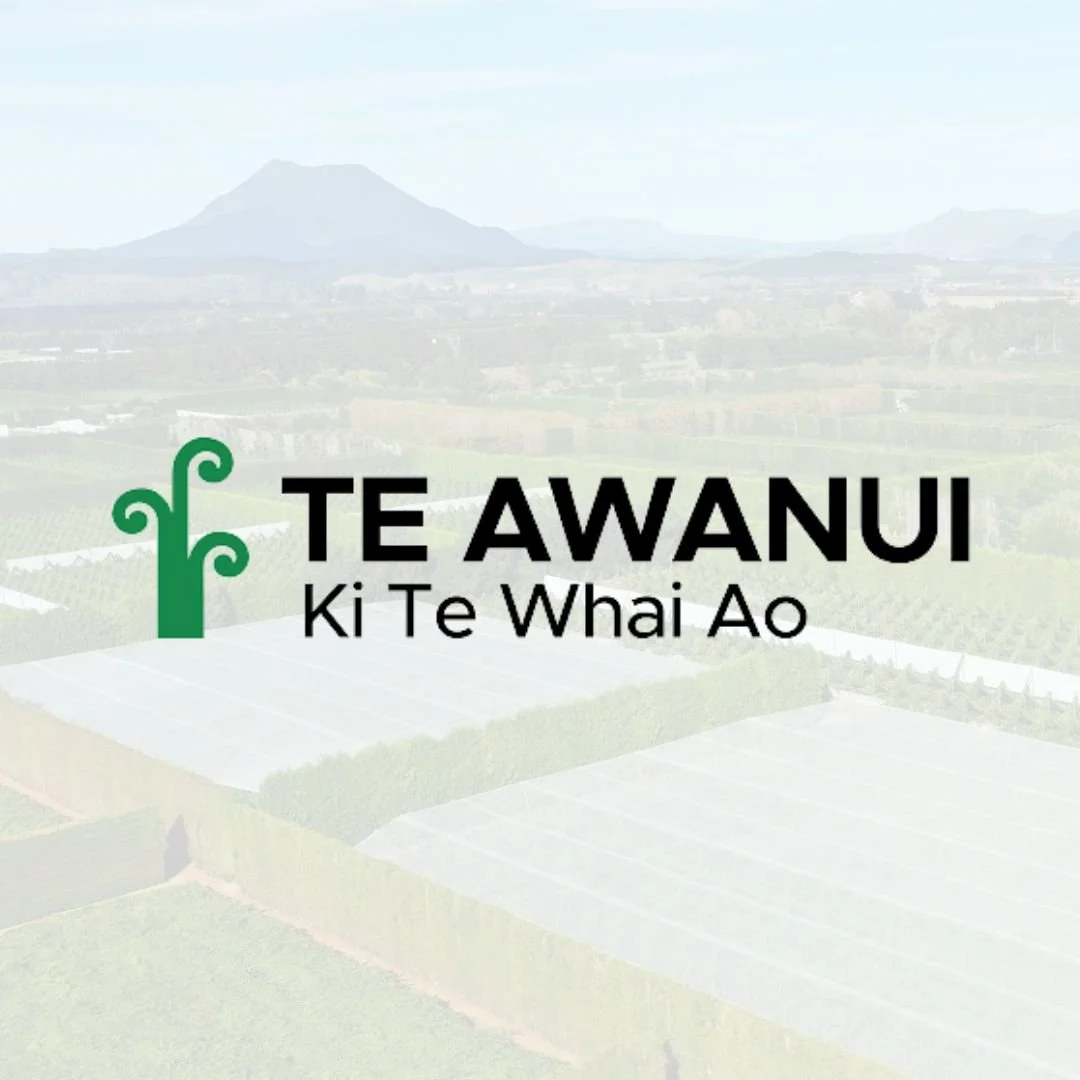 TAHP - Instagram Post.jpg