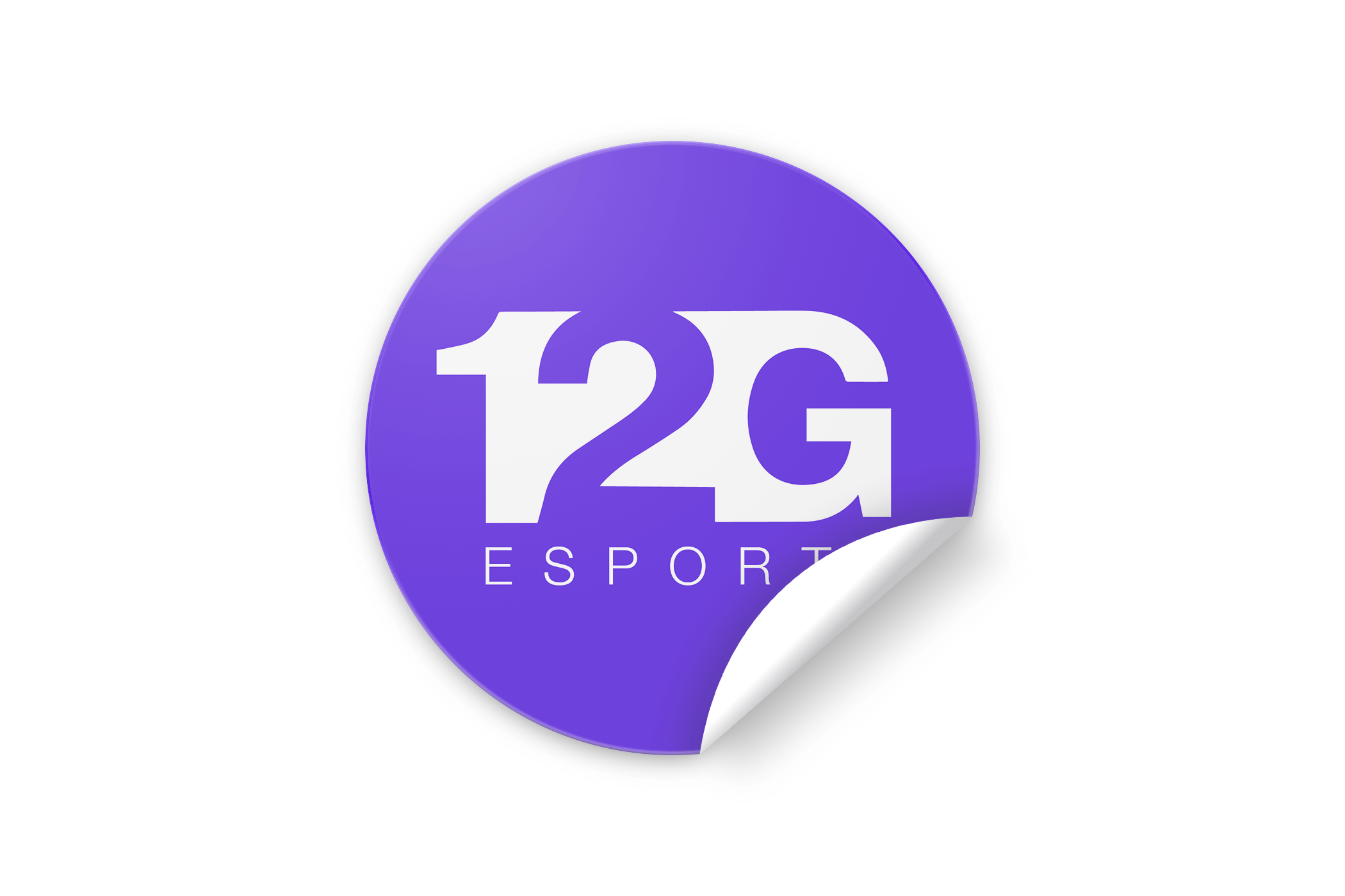 12G ESPORTS:
Logo created during my rebrand for 12G Esports, New York's premiere esports events company.