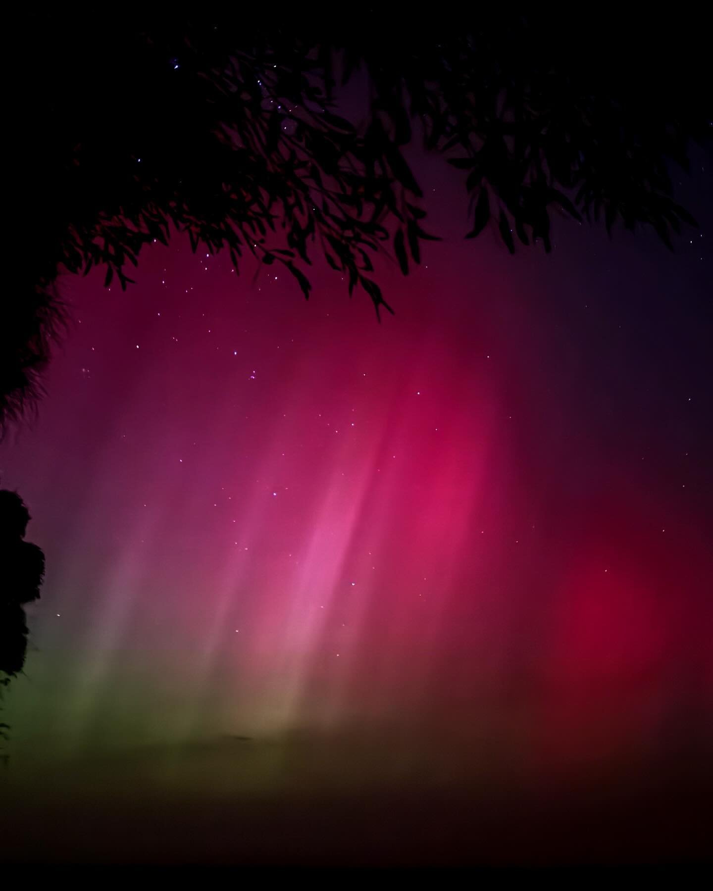 Southern lights, Aurora Australis ✨ 
Beams through the fog at midnight, standing in our paddock overlooking Canunda, South Australia. Mother&rsquo;s Day, 2024 - pretty magic 🥹😍