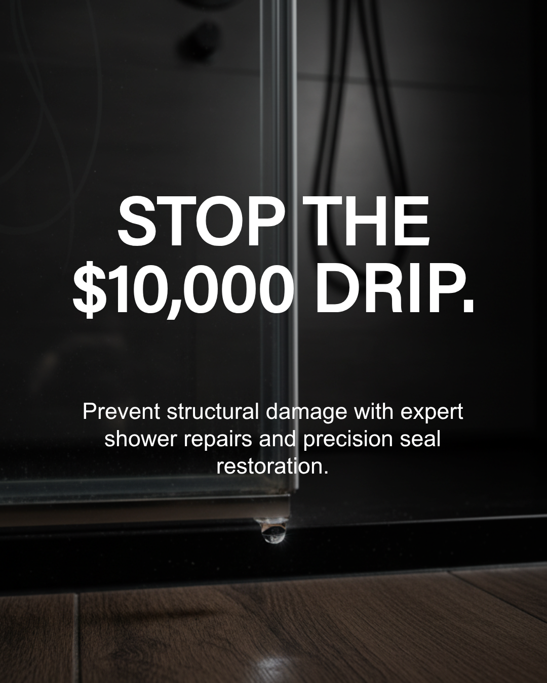 Leaking shower? The fastest fixes Wellington homeowners can trust