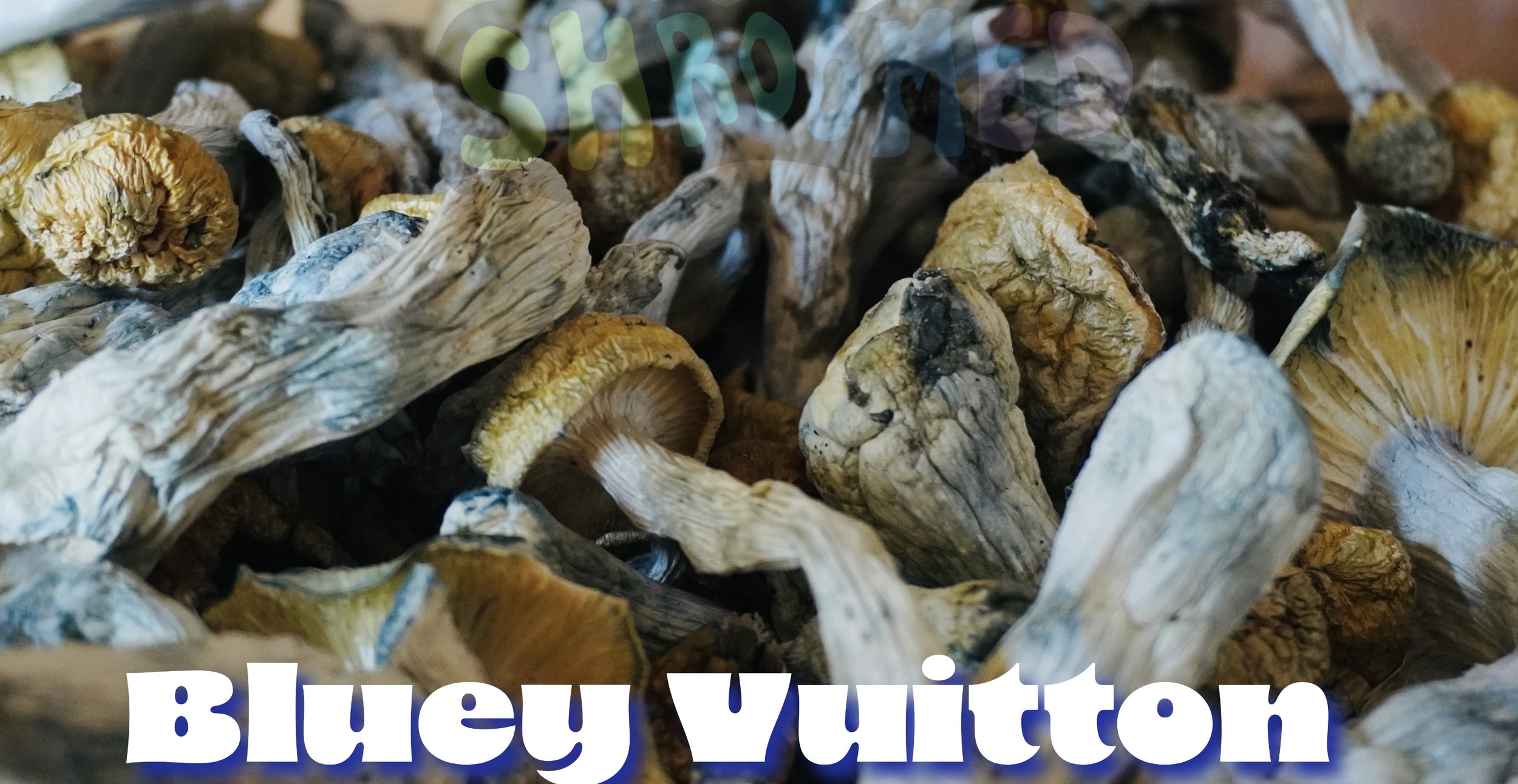 Shroomed Brand Shroomed Microdose Shroomed Mushrooms Microdose easy Oregon Colorado Washington Psilocybin Microdose  Mushroom Chocolate NEAUTROPICS Neautropic mushroom chocolate bar neautropic mushrooms substrate dose everyday dose ryze 