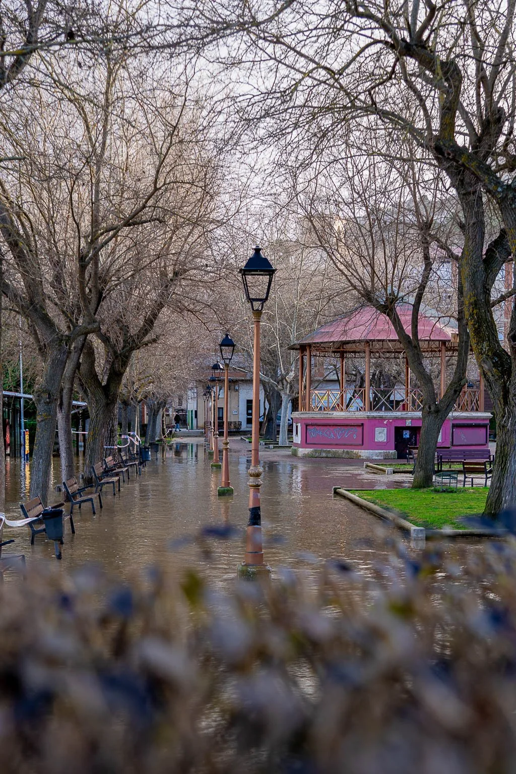 WW Standing Proud-1 20x30.jpg