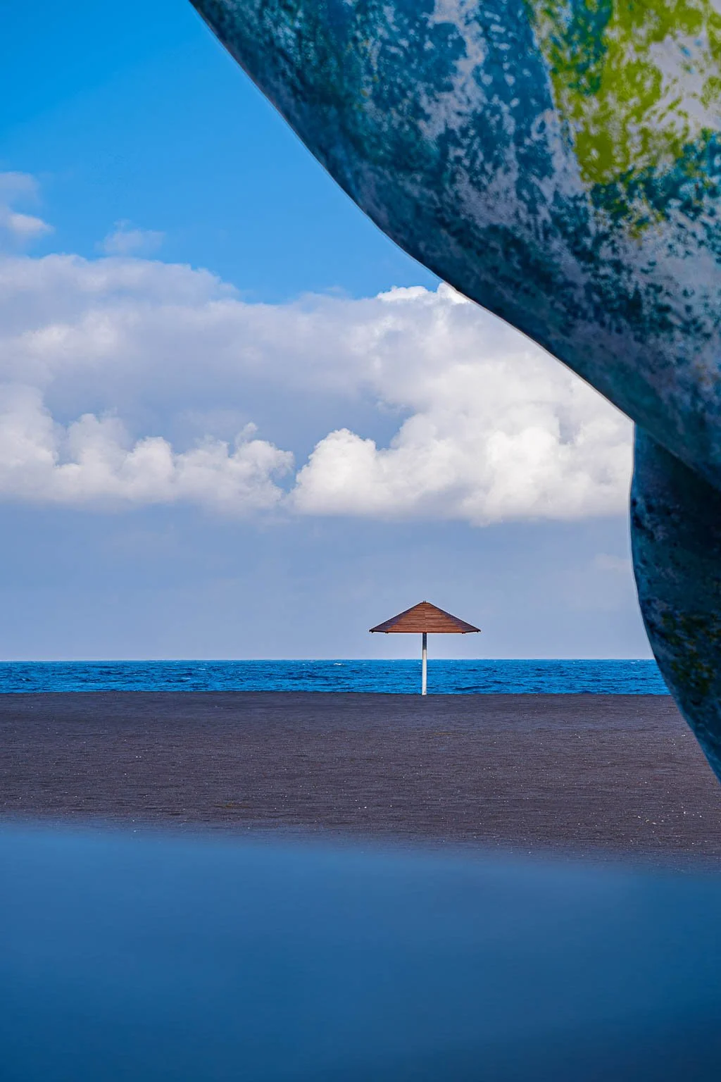 Under The Whale - Photo Print